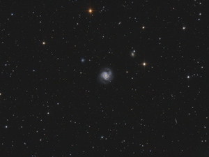 M61