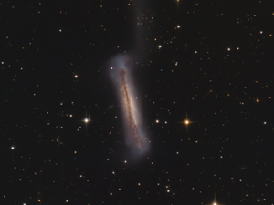 NGC 3628