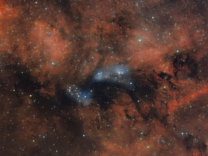 NGC 6914
